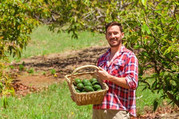 Carlos Eduardo Moraes Nunes