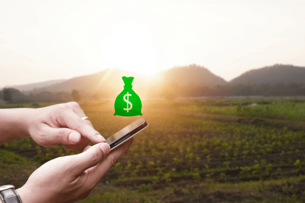 Christian Zini Amorim