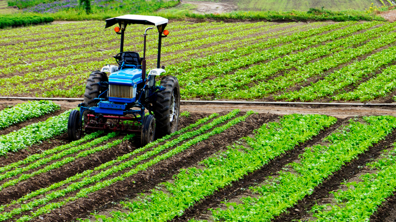 Segundo Aldo Vendramin, o futuro do agro depende de líderes capazes de unir estratégia, propósito e inovação.