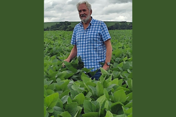 Aldo Vendramin analisa como o produtor moderno combina tecnologia, gestão e visão de longo prazo.